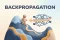 What Is Backpropagation? How AI 'Learns,' Explained via Error Backpropagation and Gradient Descent