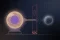 White House Accuses Moonshot AI of Distilling Anthropic's Fable for Kimi K3; Treasury Floats Sanctions